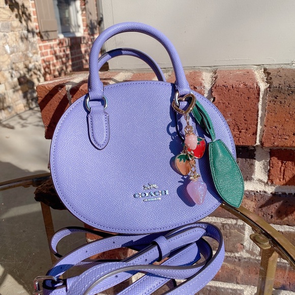NWT Coach Blueberry Crossbody with Handmade Strawberry Cluster Bag Charm CR253 - Picture 9 of 9